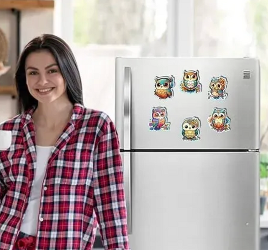 Woodkey Multicolor Owl Fridge Magnets – Pack of 6 Cute Decorative Magnets for Kitchen, Almirah & Washing Machine