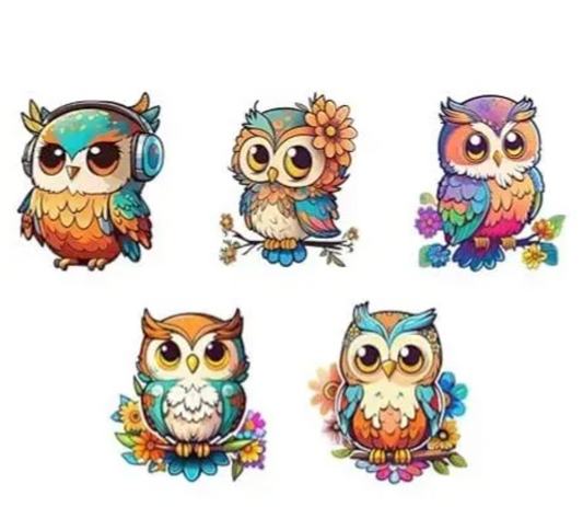 Woodkey Multicolor Owl Fridge Magnets – Pack of 6 Cute Decorative Magnets for Kitchen, Almirah & Washing Machine